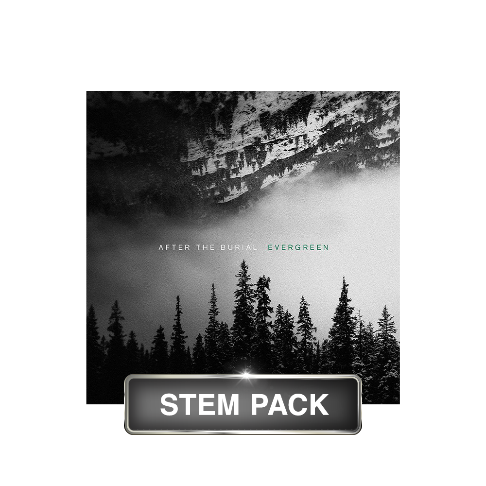 After the Burial - Evergreen [STEMS]