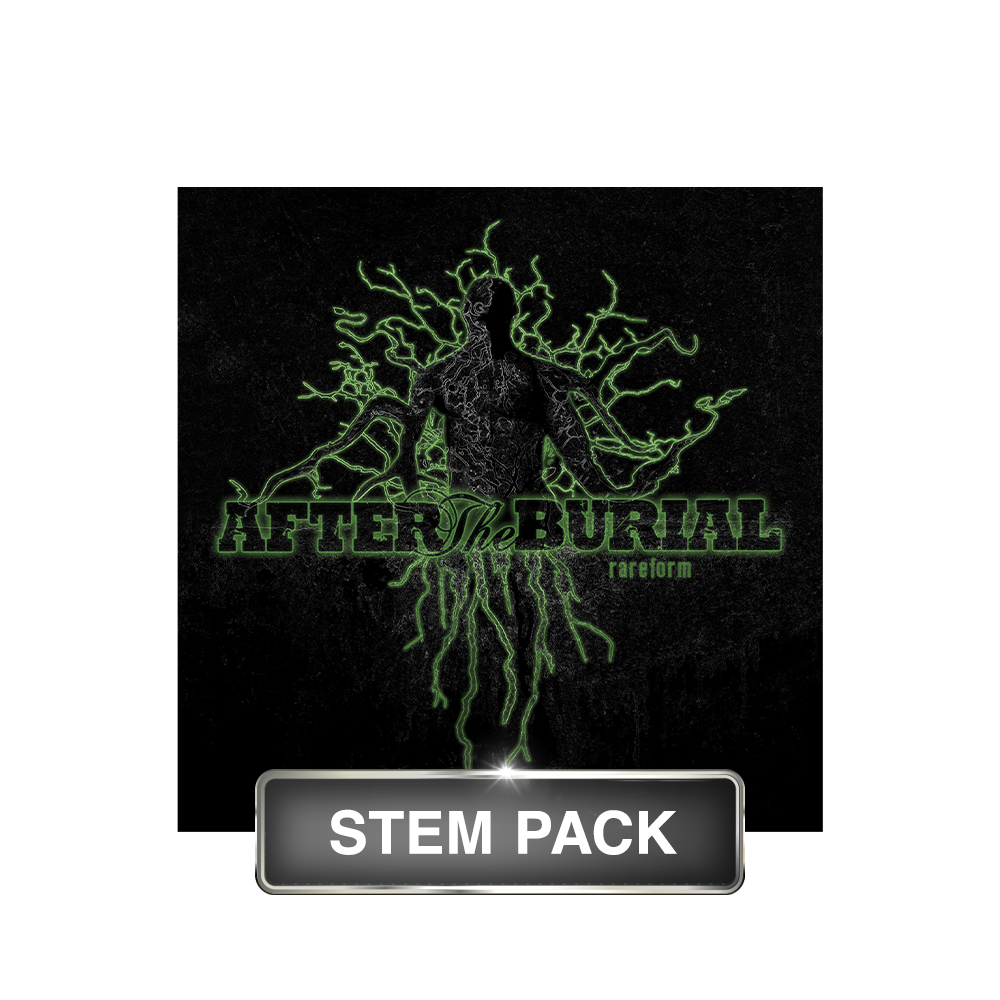 After the Burial - Rareform [STEMS]